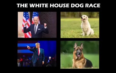 How the White House Dog Race Is Heating Up (With Video Link)