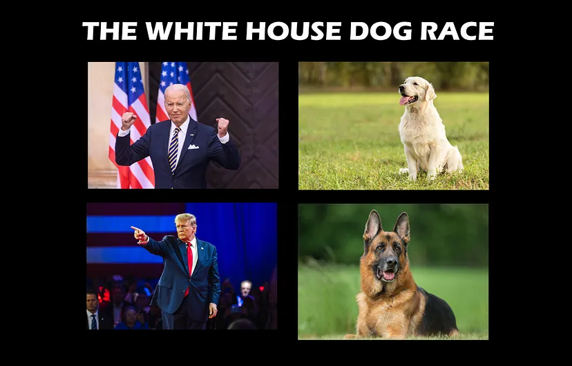 How the White House Dog Race Is Heating Up (With Video Link)